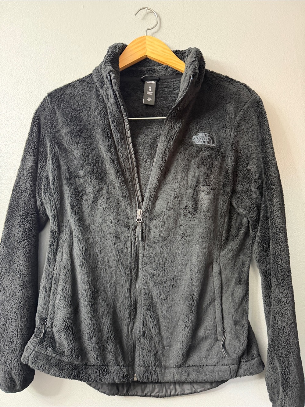 The North Face Women's Black Teddy Fleece Jacket